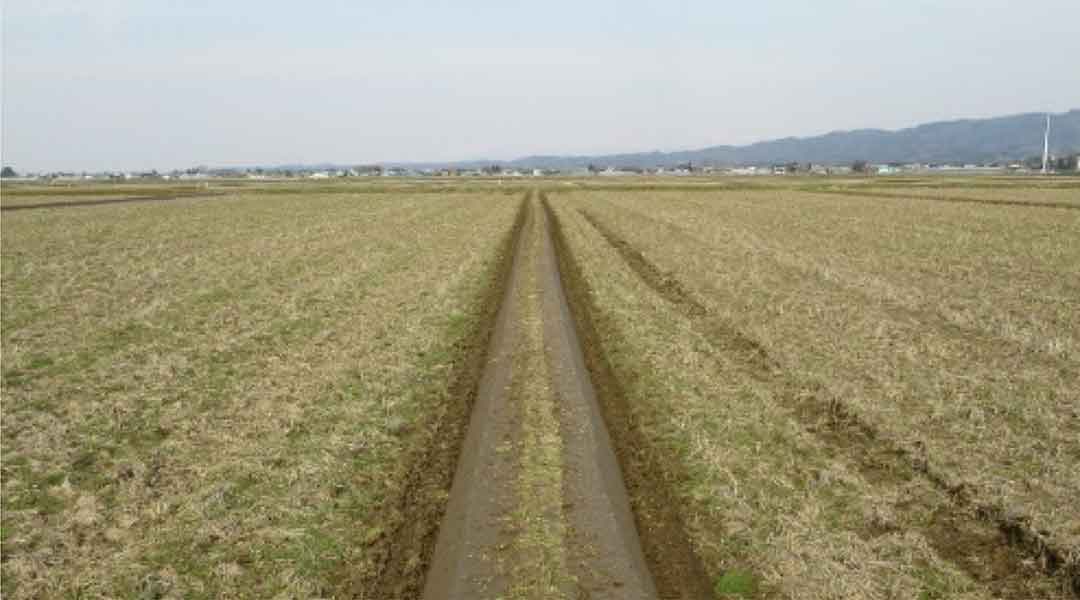 漏水防止:畔塗 3/26~3/31