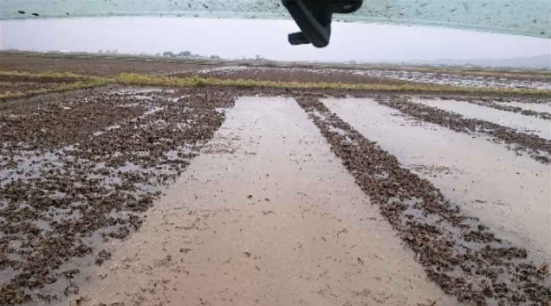 濁水の流出を防止:浅水代掻 4/27~5/21