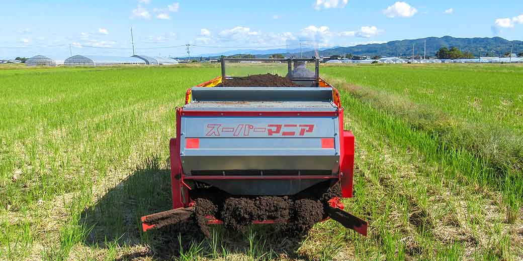 田んぼでの作業の様子